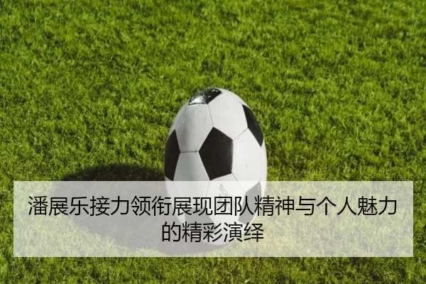 潘展乐接力领衔展现团队精神与个人魅力的精彩演绎